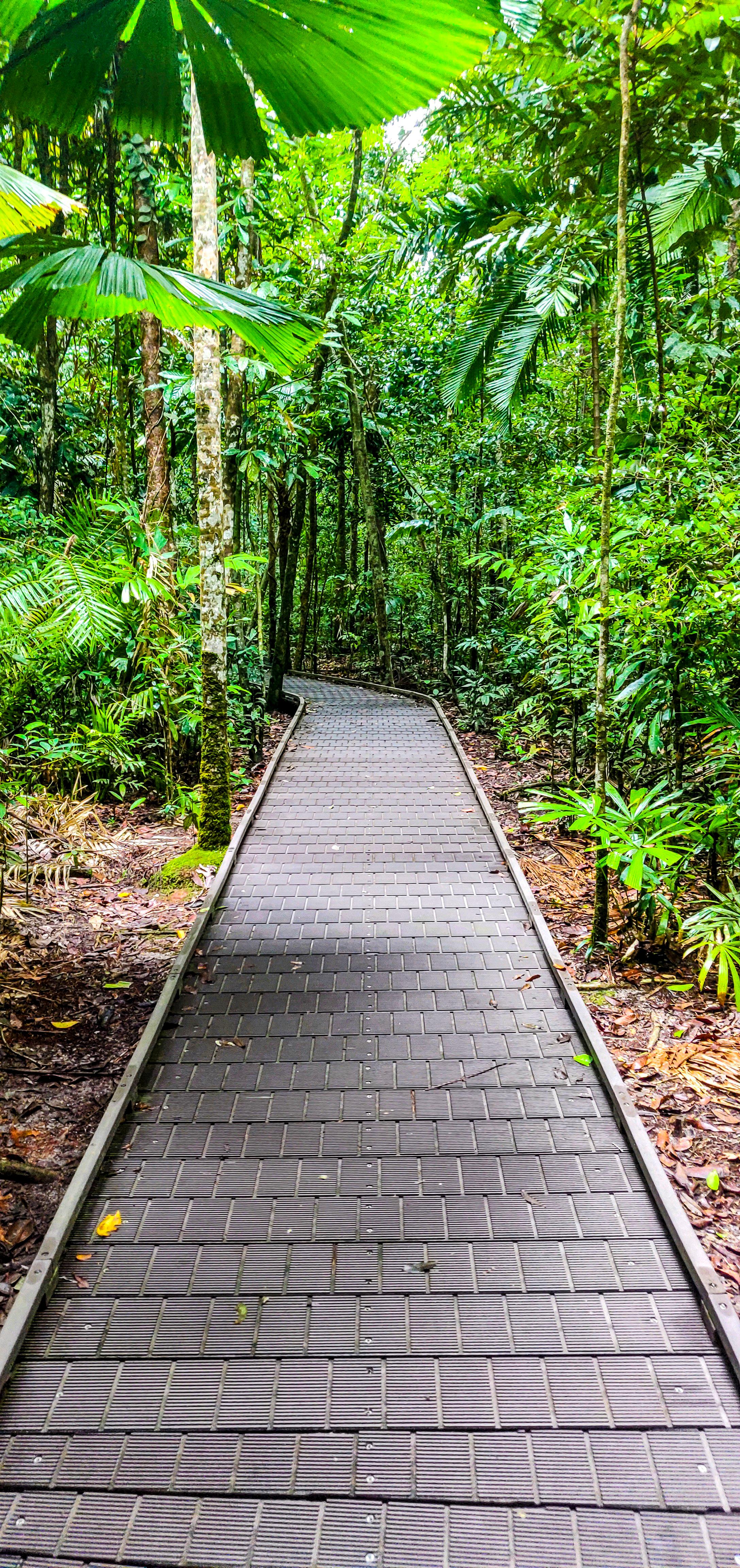 Dubuji Boardwalk
